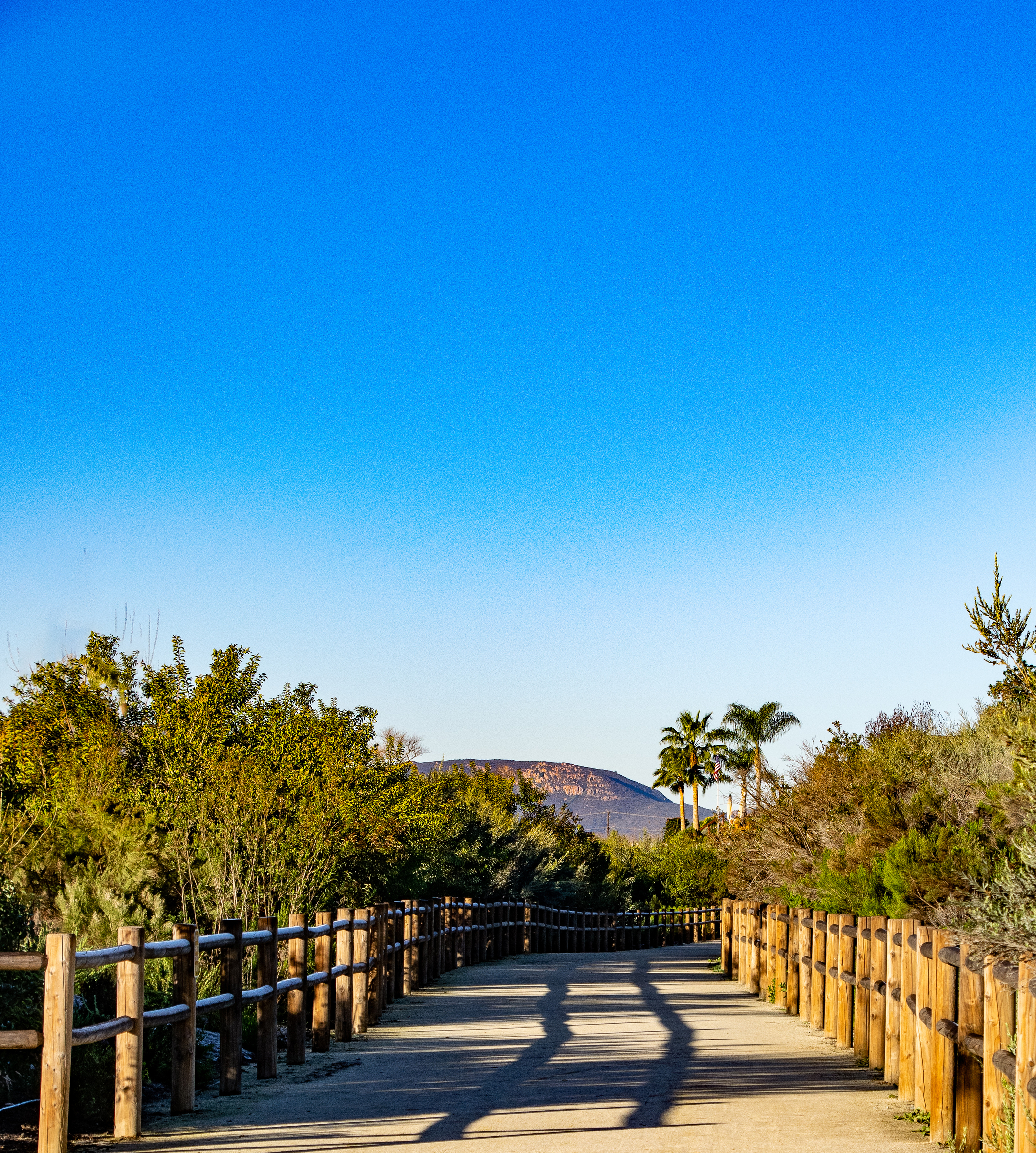 Santee Property Management 2026: East County Rental Guide